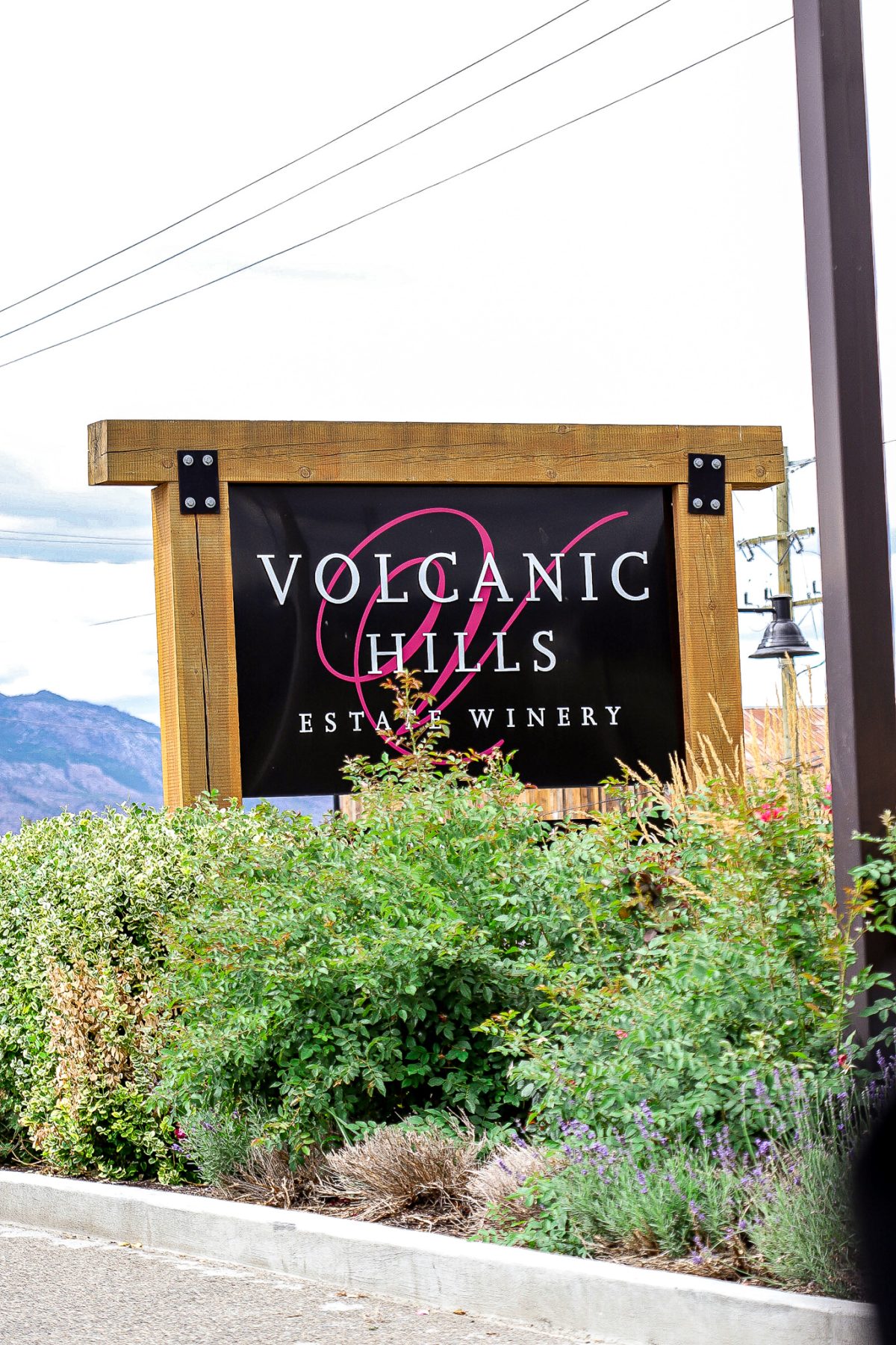 the volcanic hills sign with green bush in front