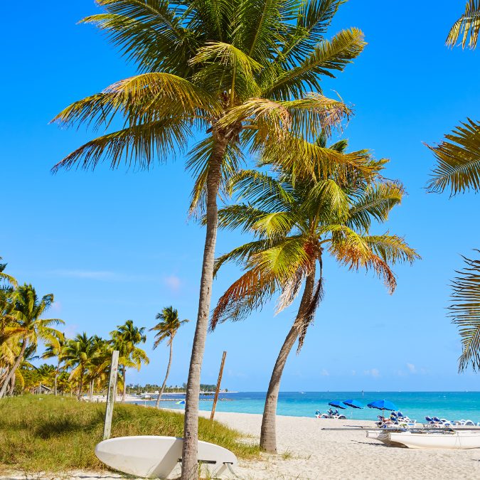 key west florida with palm trees and sandy beaches, Best Warm Places To Visit In The USA (February)