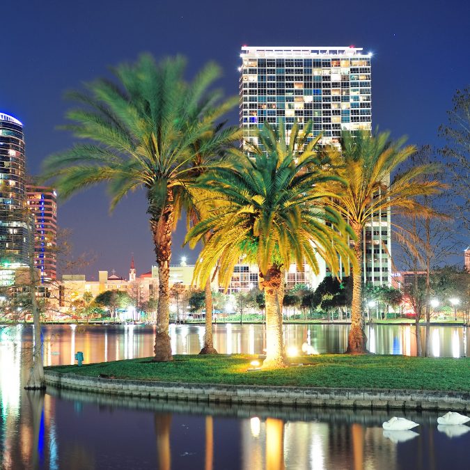 orlando at night with palm trees surrounded by water 