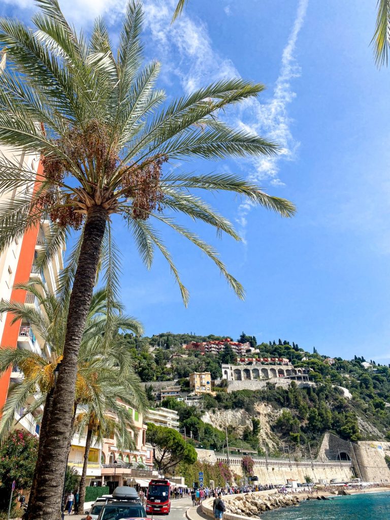 palm trees and beautiful scenery in nice france