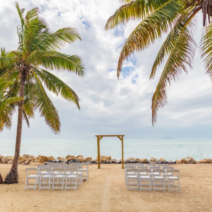 white chairs set up with palm trees in foreground ocean in background 