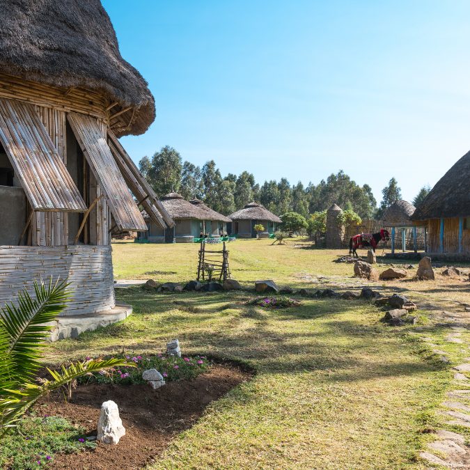 small bamboo structures with grassy field in ethiopia