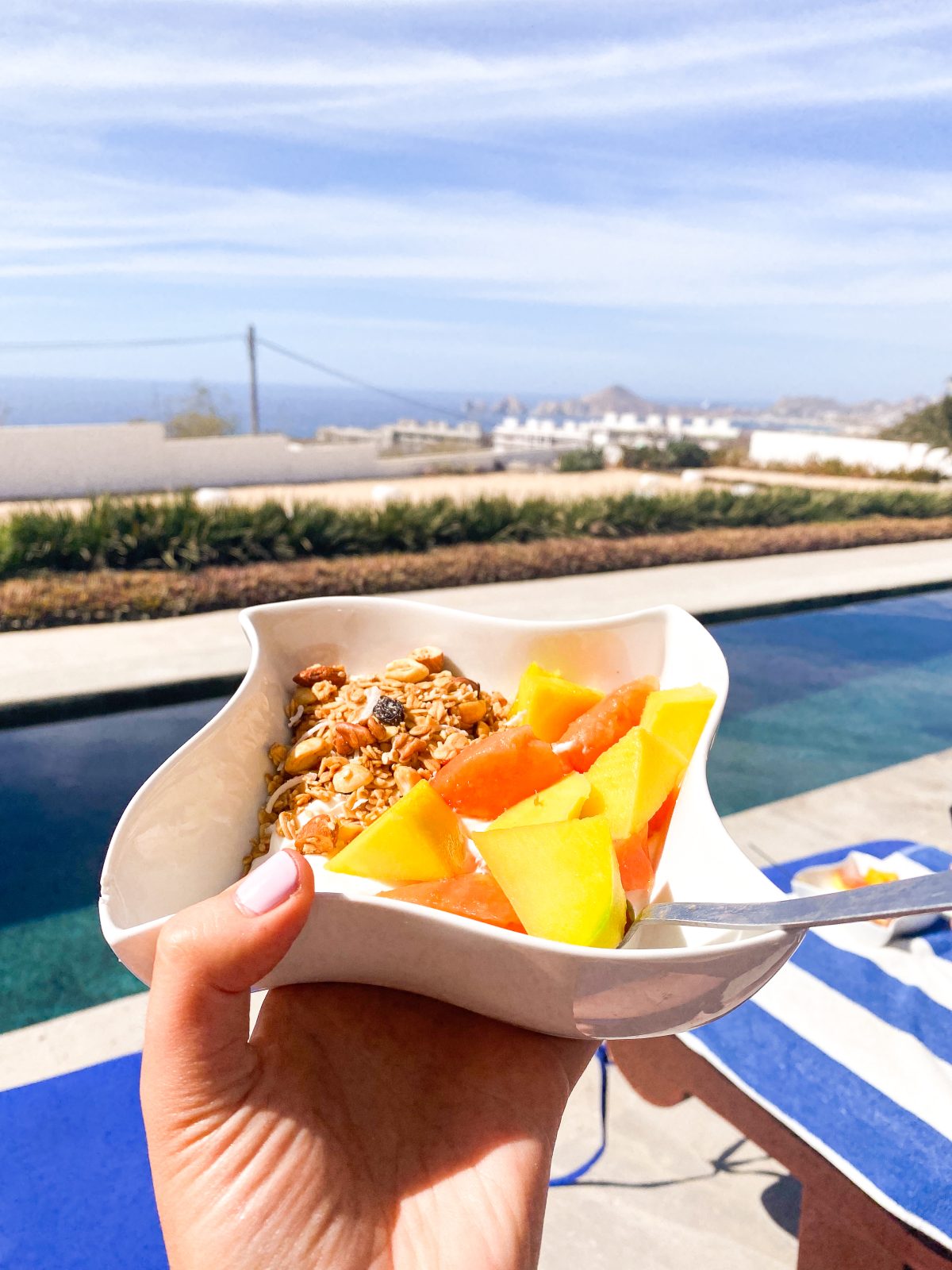 shot of fruit in a bowl with a view of Cabo san lucas in background